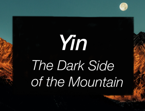 Yin- The Dark Side of the Mountain